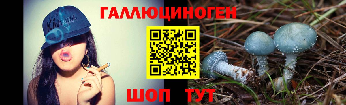 Псилоцибиновые грибы мухоморы  Галлюциногенные грибы Psilocybe  купить закладку  Костомукша  Вход с VPN 