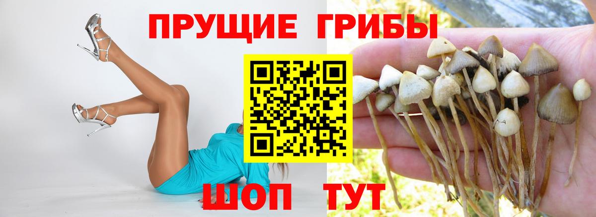 Псилоцибиновые грибы ЛСД Костомукша